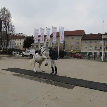 FB_IMG_1676797960210 (1)